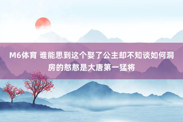 M6体育 谁能思到这个娶了公主却不知谈如何洞房的憨憨是大唐第一猛将