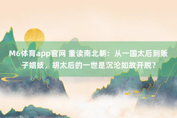M6体育app官网 重读南北朝：从一国太后到贩子娼妓，胡太后的一世是沉沦如故开脱？
