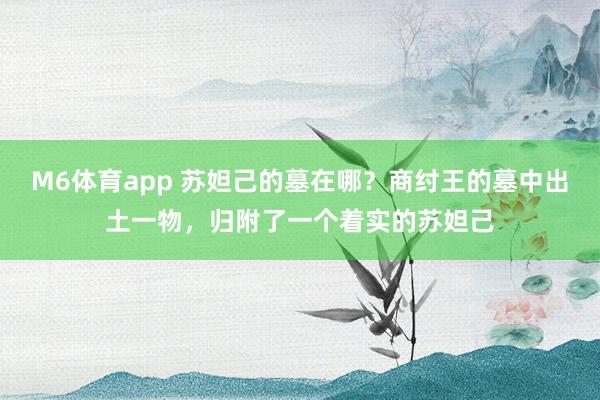 M6体育app 苏妲己的墓在哪？商纣王的墓中出土一物，归附了一个着实的苏妲己