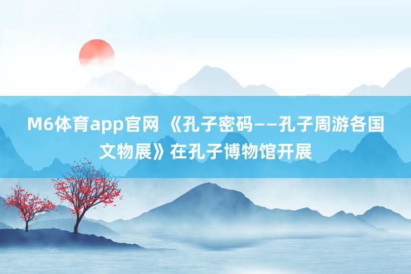 M6体育app官网 《孔子密码——孔子周游各国文物展》在孔子博物馆开展