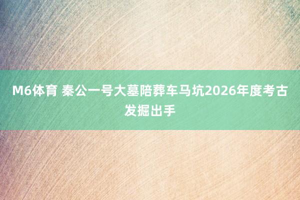 M6体育 秦公一号大墓陪葬车马坑2026年度考古发掘出手