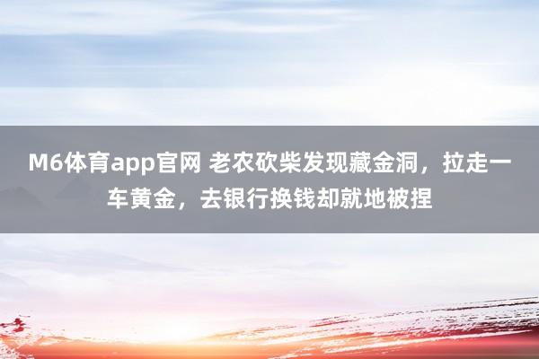 M6体育app官网 老农砍柴发现藏金洞，拉走一车黄金，去银行换钱却就地被捏
