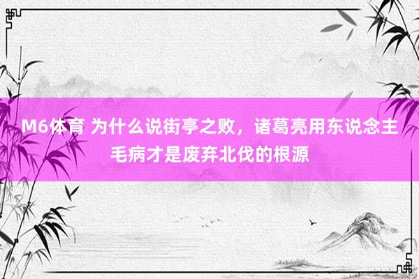 M6体育 为什么说街亭之败，诸葛亮用东说念主毛病才是废弃北伐的根源