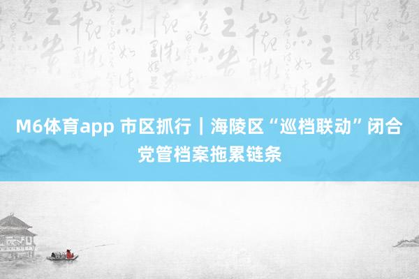 M6体育app 市区抓行｜海陵区“巡档联动”闭合党管档案拖累链条