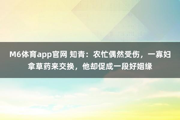 M6体育app官网 知青：农忙偶然受伤，一寡妇拿草药来交换，他却促成一段好姻缘