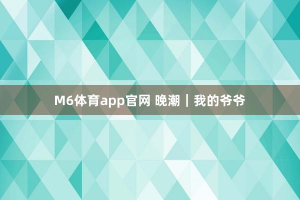 M6体育app官网 晚潮｜我的爷爷