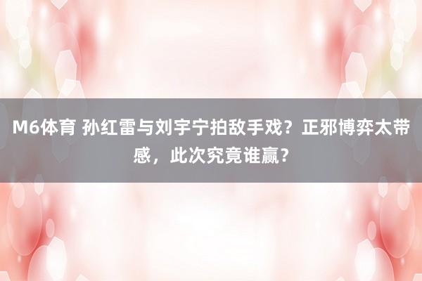 M6体育 孙红雷与刘宇宁拍敌手戏？正邪博弈太带感，此次究竟谁赢？