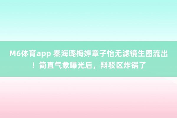 M6体育app 秦海璐梅婷章子怡无滤镜生图流出！简直气象曝光后，辩驳区炸锅了