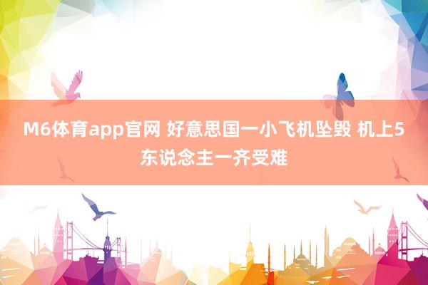 M6体育app官网 好意思国一小飞机坠毁 机上5东说念主一齐受难