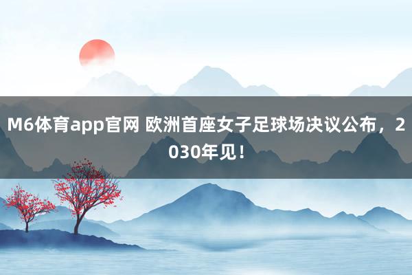 M6体育app官网 欧洲首座女子足球场决议公布，2030年见！