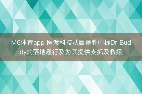 M6体育app 医渡科技从属得胜中标Dr Buddy的落地履行及为其提供支抓及救援