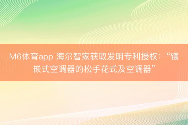M6体育app 海尔智家获取发明专利授权：“镶嵌式空调器的松手花式及空调器”