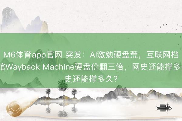 M6体育app官网 突发：AI激勉硬盘荒，互联网档案馆Wayback Machine硬盘价翻三倍，网史还能撑多久？