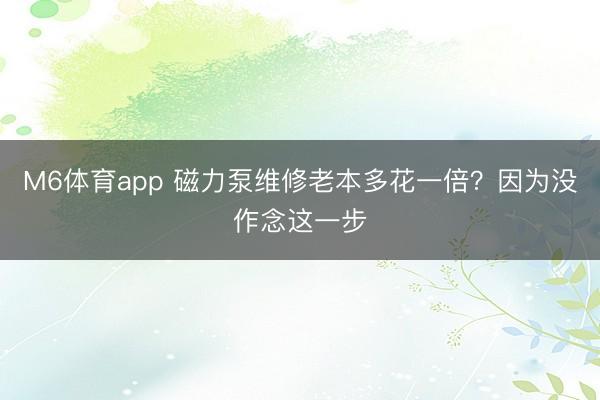 M6体育app 磁力泵维修老本多花一倍？因为没作念这一步